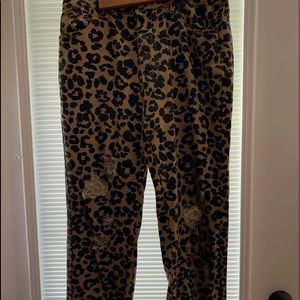Leopard print pants